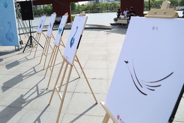 新闻图 AI8I6500.jpg