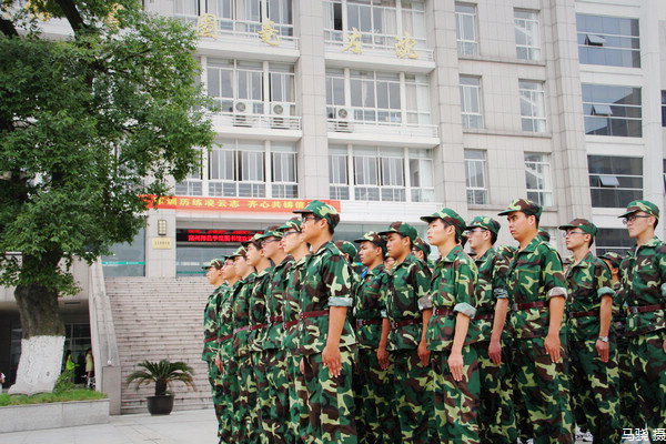 书海边的抹抹军绿